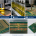 IC substrate manufacturer